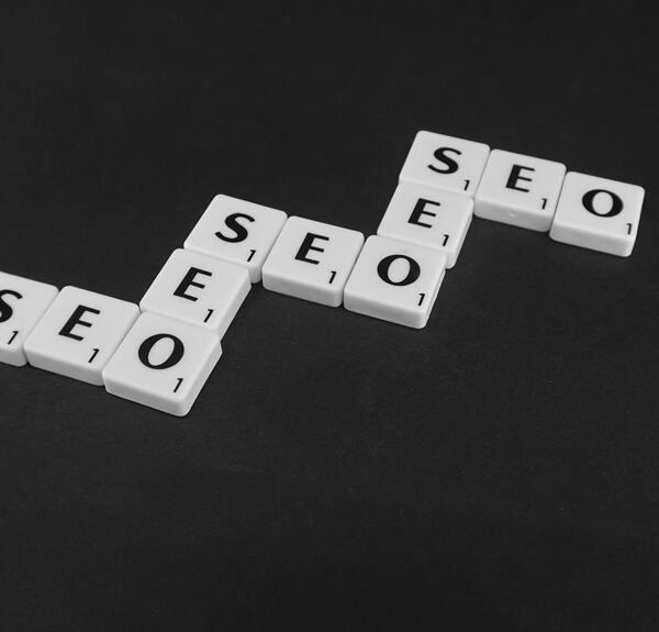 organic seo traffic growth
